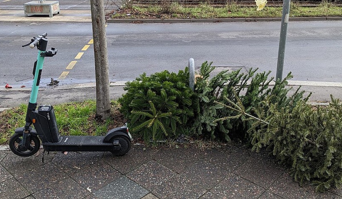 FES holt ausgediente Weihnachtsbäume an drei Tagen im Januar ab
