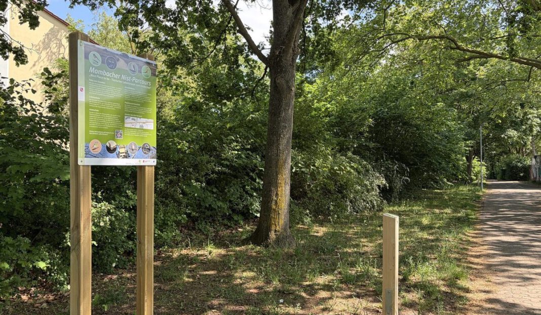 Nisthilfen entlang des Käthchen-Frödert-Wegs sollen Stadtnatur sichtbarer machen Nisthilfen entlang des Käthchen-Frödert-Wegs sollen Stadtnatur sichtbarer machen