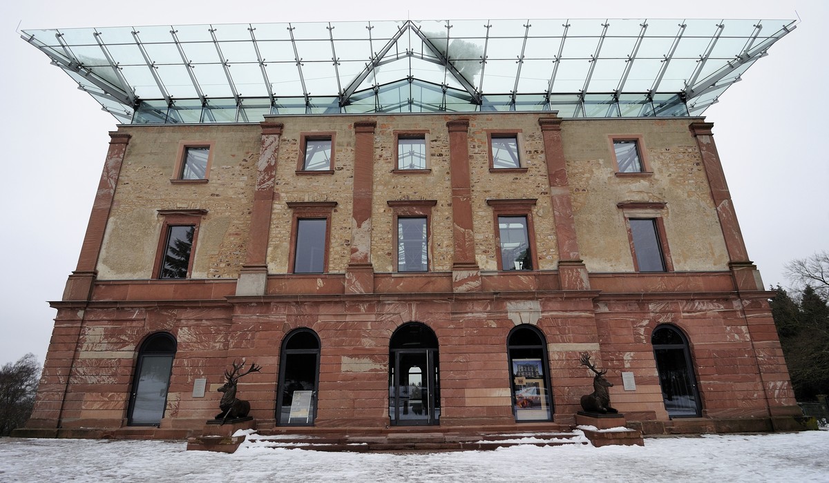 Nordmanntannen aus dem Stadtwald können am 13. Dezember selbst geschlagen werden