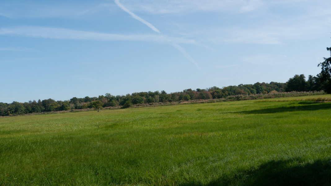 Rüsselsheim 365: Natur vor der Haustür - der Mönchbruch | Foto: Matti Blume / CC BY-SA 4.0