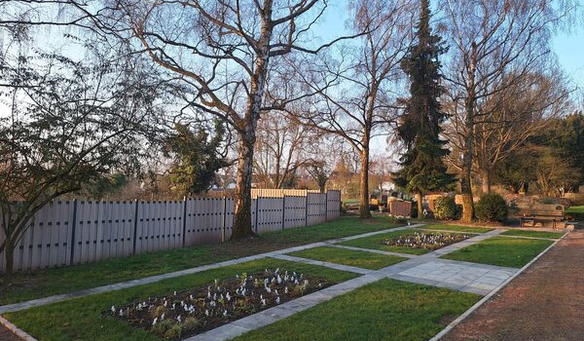 Wiesbaden richtet 183 neue Urnenwahlgräber an Bäumen ein