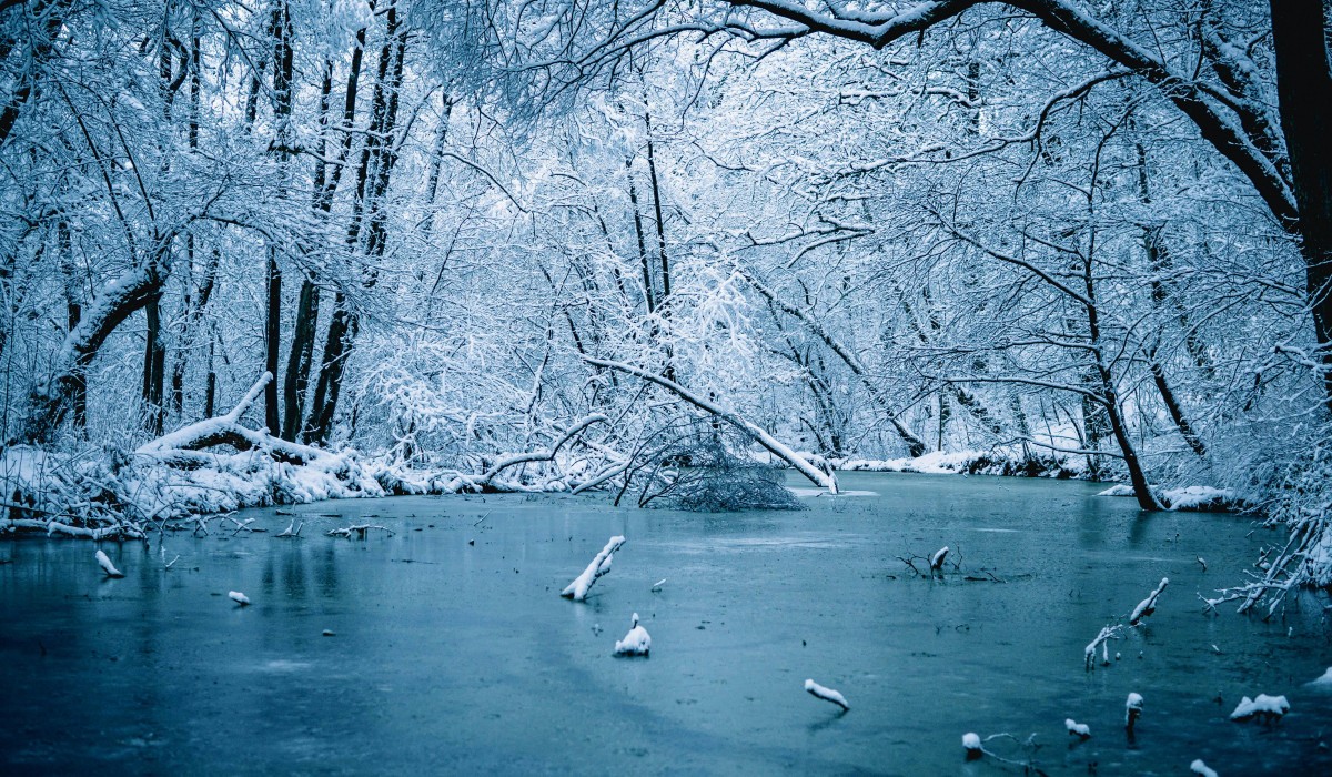 Wiesbaden warnt: Lebensgefahr auf zugefrorenen Gewässern, Schiersteiner Hafen besonders riskant